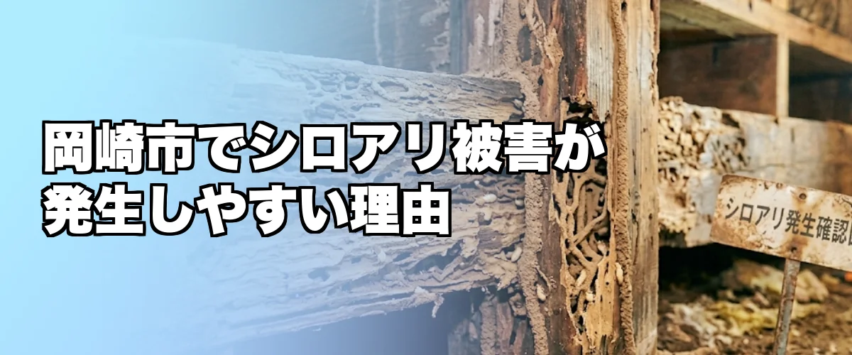 岡崎市でシロアリ被害が発生しやすい理由を解説するイメージ