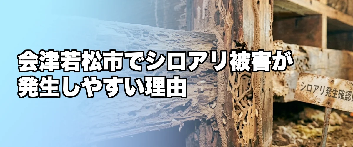 会津若松市でシロアリ被害が発生しやすい理由を解説するイメージ