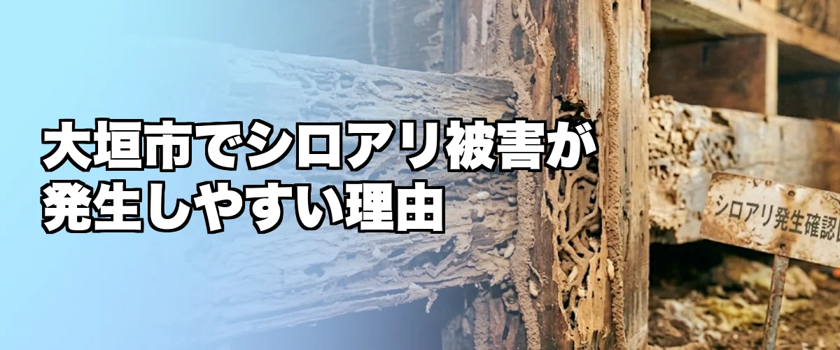 大垣市でシロアリ被害が発生しやすい理由を解説するイメージ