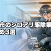 東広島市のシロアリ駆除業者おすすめ3選