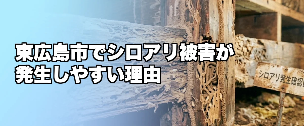 東広島市でシロアリ被害が発生しやすい理由を解説するイメージ
