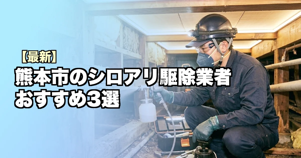熊本市のシロアリ駆除業者おすすめ3選