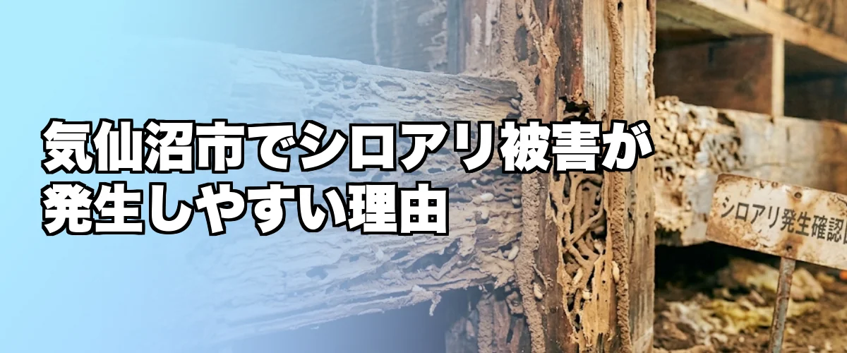 気仙沼市でシロアリ被害が発生しやすい理由を解説するイメージ