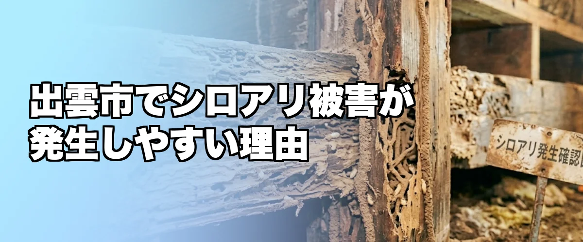 出雲市でシロアリ被害が発生しやすい理由を解説するイメージ