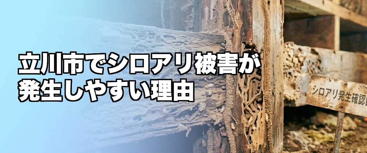 立川市でシロアリ被害が発生しやすい理由を解説するイメージ